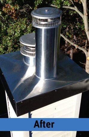 WhatsApp Image 2026-03-24 at 7.41.21 PM