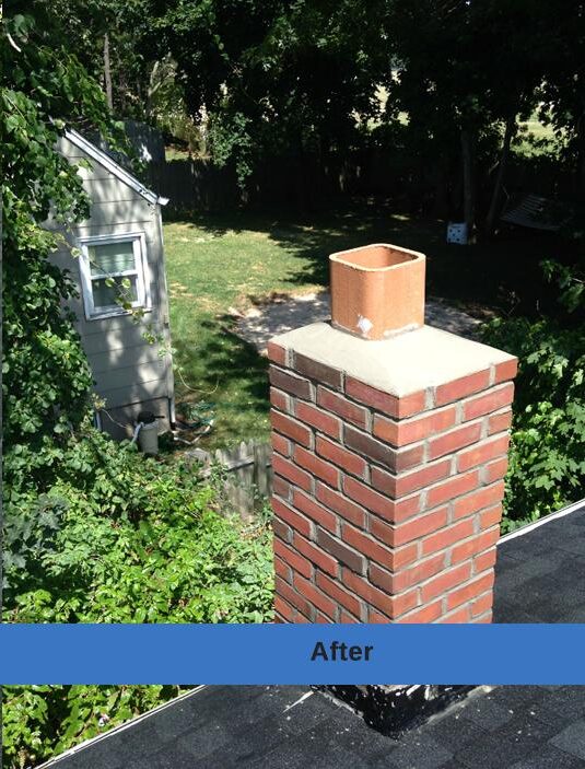 WhatsApp Image 2026-03-24 at 7.41.22 PM (1)