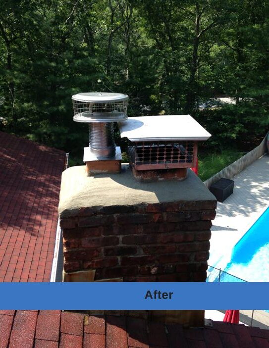 WhatsApp Image 2026-03-24 at 7.41.22 PM